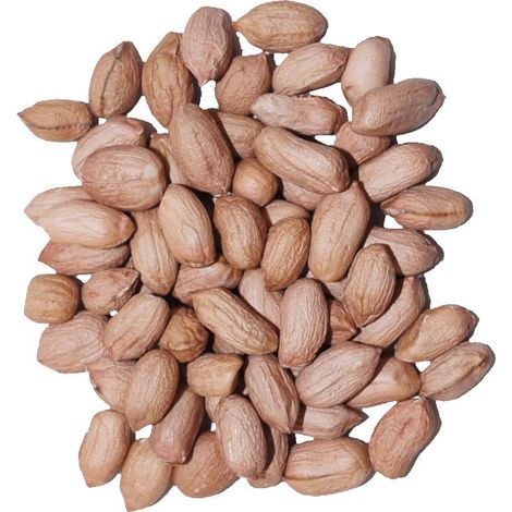Agrarshop Erdnuss light skin 25 kg Vogelfutter Wintervogelfutter Meisen (1/3)