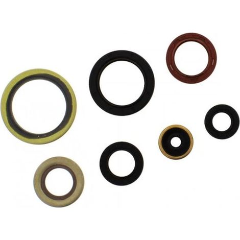 Juego de juntas de motor para Gas Gas, KTM, Husqvarna 250/300 2017-2023