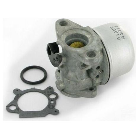 Carburateur adaptable pour remplace 799868 (1/4)