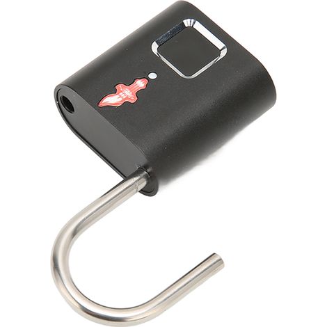 Cadenas à empreinte digitale avec reconnaissance biologique, en alliage d'aluminium, rechargeable par USB, compatible avec 10 empreintes digitales.