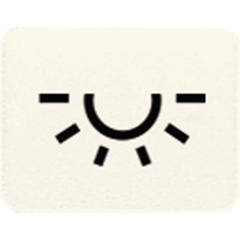 Jung Symbol ws LICHT 33 L (1/2)
