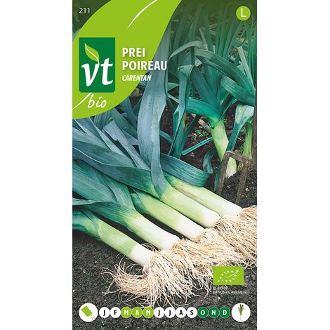 Bio Poireau Carentan - Ca. 3 gr (Livraison Gratuite) (1/2)