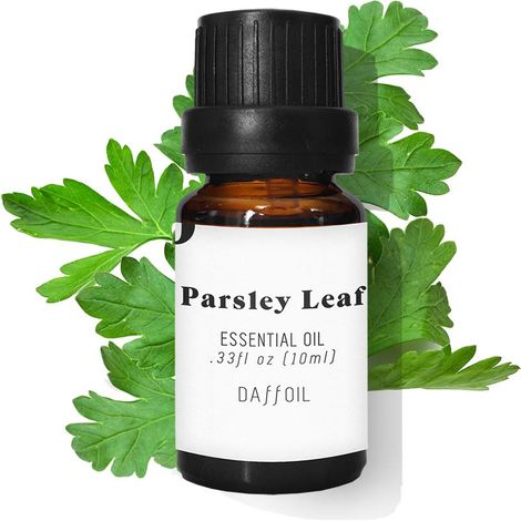 Daffoil Huile essentielle de feuilles de persil 10ml pure organic 100% natural organic aromatherapy humidifier