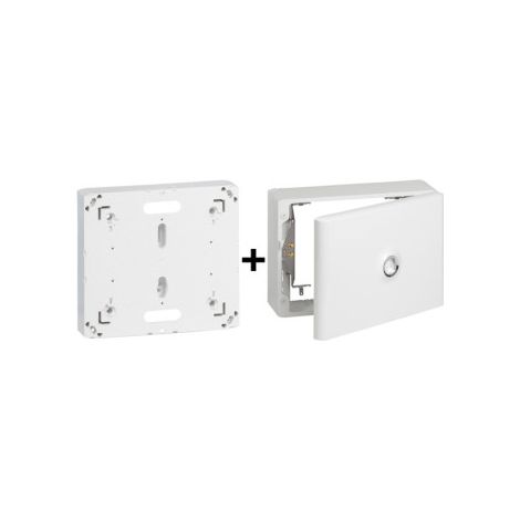 Legrand - Platine pour Disjoncteur branchement Seul + Habillage 18 Modules avec Porte - Ru00e9f. : 401191+401189 (1/5)