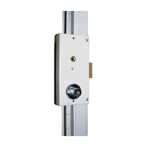 Boîtier de remplacement type PSS Multiplex acier 2 clés gauche - FICHET (1/5)
