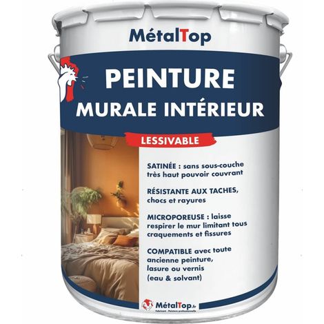 Peinture Murale Interieur - Gris terre dombre - RAL 7022 - 5 L - Métaltop