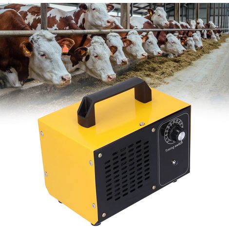 Générateur d'ozone pour stérilisation et désinfection, norme européenne 220 V, 28 g (1/5)