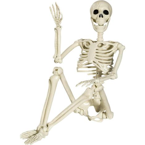 Halloween Plastikskelett 90cm Ganzkörper bewegliche Gelenke Dekoration (1/5)
