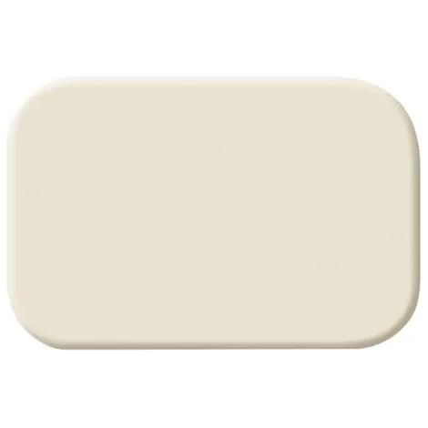 Busch-Jaeger 2525 N Tastersymbol neutral (1/2)