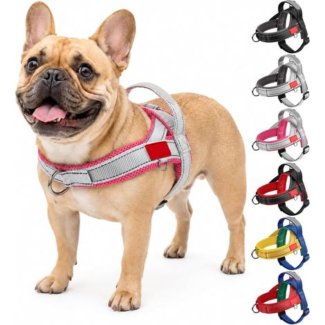 Harnais Anti Traction pour Chien de Taille Petit et Moyen, Harnais Chiot Réglable pour Chiens avec Poignée de Contrôle, Gilet Réfléchissant Respirant Facile à Mettre (Gris Rose Rouge, S) (1/5)