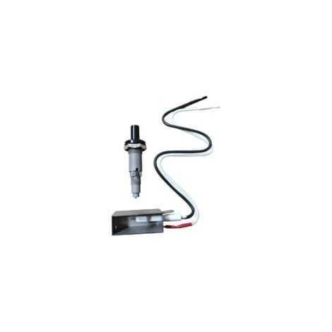 Bouton d'allumage de rechange Weber7509, kit d'allumage à pile bouton, compatible avec les barbecues à gaz Weber Spirit Genesis (1/3)