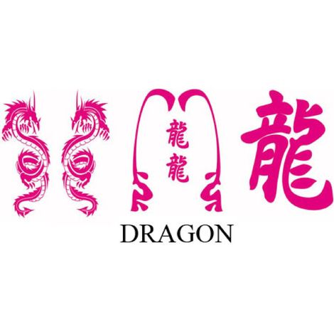 Set Adhesifs -ELEMENT DRAGON- Rose - PROMO ADN - Car Deco