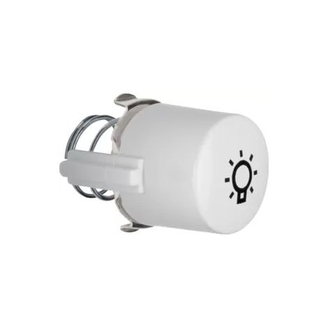 Berker Tasterknopf pws für Symbol Licht 1226 (1/2)