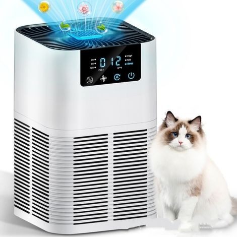 Purificateur d'air de bureau intelligent, élimine formaldéhyde, PM2.5, odeurs, avec ioniseur négatif et écran LCD,Blanc (1/5)
