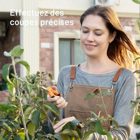 17 cm Gartenschere, ergonomischer Griff, gerade Klinge aus Edelstahl, titanbeschichtete Antihaft-Klinge, arretierbarer Griff, geeignet für Blumen, Rosen, Obst und Pflanzen, Orange (1/5)