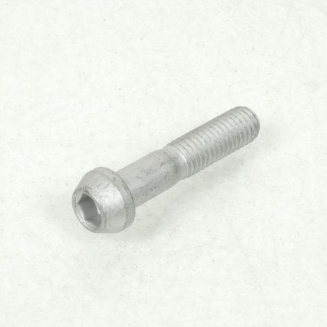 Schraube Bremssattel vorne M8x1.25 für Motorrad Triumph 675 (1/5)