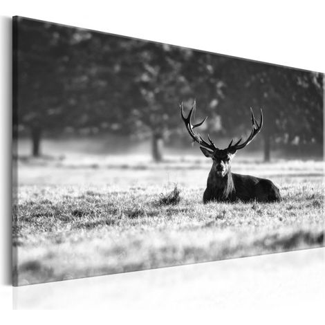 Tableau Imprimé "Lying Deer" 60 x 90 cm (1/2)