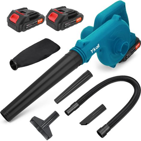 Souffleur à batterie pour feuilles et neige, aspirateur 2 en 1 puissant, 2 batteries AKU 24 V 4 Ah (1/5)