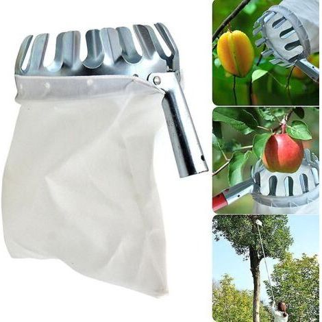 Cueilleur de fruits en acier inoxydable Outils de cueillette multifonctionnels (1/2)