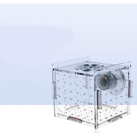 Aquarium Fish Breeding Box, Single Grid Breeding Box, Incubator Isolation Box, Incubator Breeder, Aquarium Accessories, L 15 x 15 x 15 cm., UN