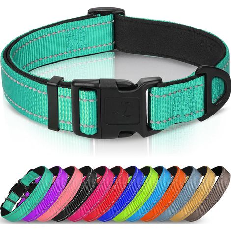 Collier pour Chien en Nylon avec Bande Réfléchissante,Collier Rembourré Classique pour Moyenne Chien,Turquoise,M (1/5)