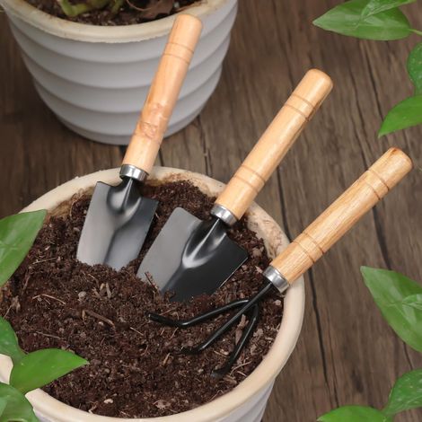 Lot de 3 mini outils de jardinage à main pour l'entretien des plantes grasses, plantes d'intérieur, y compris une petite pelle, une truelle, un râteau (1/4)