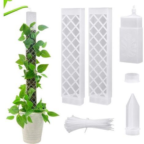 Tuteur En Mousse Pour Treillis De Monstera – Support De 66,5 Cm Avec Système D'arrosage Automatique Et Base À Brancher – 2 Tuteurs Transparents + Système D'arrosage + Plateau De Propagation + 50 Attac (1/5)
