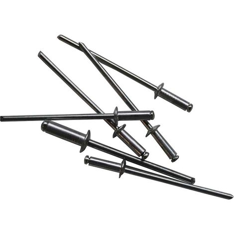 Blisterpackung mit 105 Nieten 2,4 x 8 mm 7hSevenOn Elec