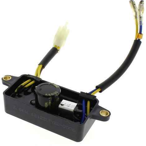 Parkside – Regulateur de tension pour groupe électrogène – Accessoire compatible Pse2800b2 – Idéal pour chantiers humides – Référence 415249001027