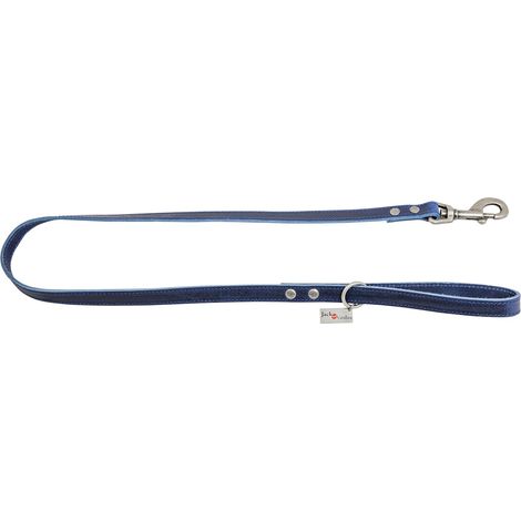 Laisse Vintage en Nylon Durable pour Chien, 100 cm de Longueur, 20 mm de Largeur, Couleur Bleu, Design élégant et Confortable pour promenades Quotidiennes, Modèle Vintage