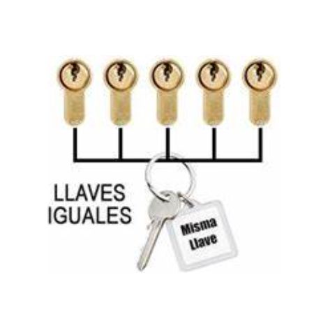 CAYS LLAVES IGUALES SEGUN MUESTRA