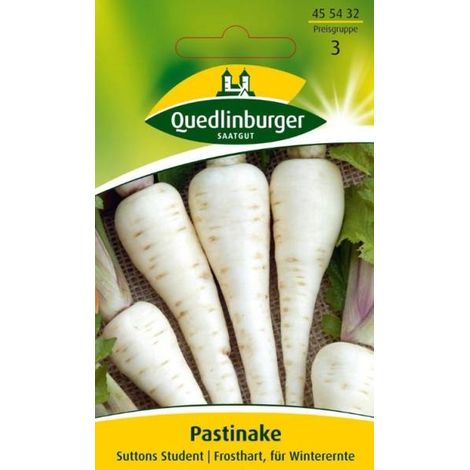 Quedlinburger Pastinaken Suttons Student - Gemüsesamen (1/2)