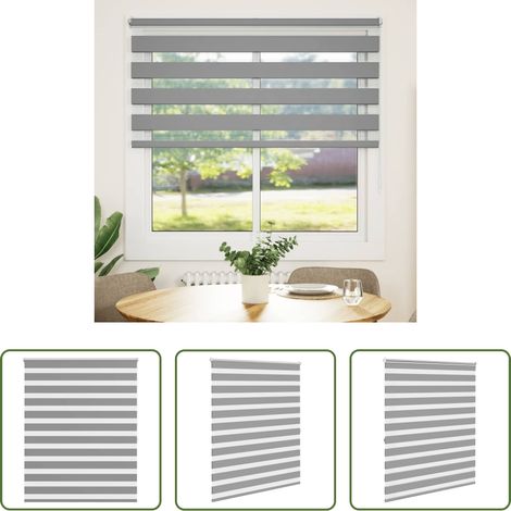 Fensterrollo - Zebra-Rollo 120,9 x 175 cm, Stoffbreite 116,7 cm, grau (1/5)