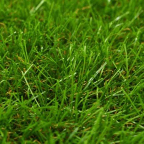 Maison Exclusive - Kunstrasen 1x15 m/40 mm Grün