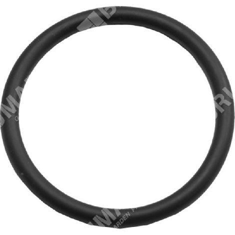Anillo de estanqueidad para desbrozadoras de ruedas BLUE BIRD N23003 - 022747