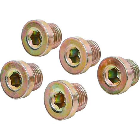 Bouchons de Vidange M17 x 1,5 mm - Lot de 5 pcs - Étanchéité Fiable et Durable, Acier, Pro - D-Work (1/5)