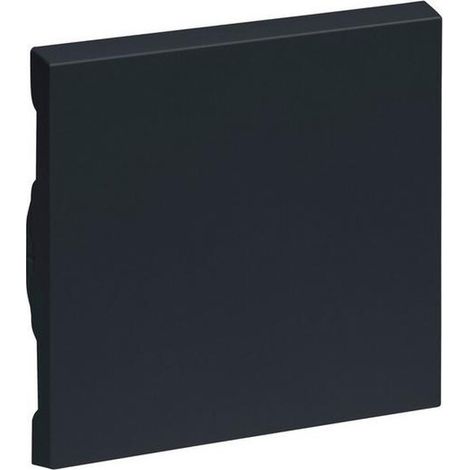 Legrand WIPPE WECHSELSCH.ANTHR.LACKIER (765406 SEANO)