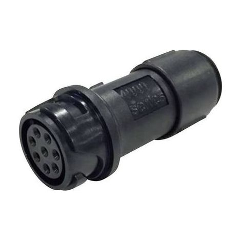 Bulgin PXP4011/03S/5055 Connettori circolari Giunto dritto Tot poli: 3 Serie (connettore circolare): Buccaneer 4000 1 p