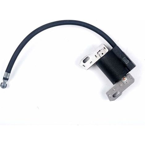 für elektronische Zündspulen für Briggs & Stratton 715231 799650 795315 690248 Anker (1/4)