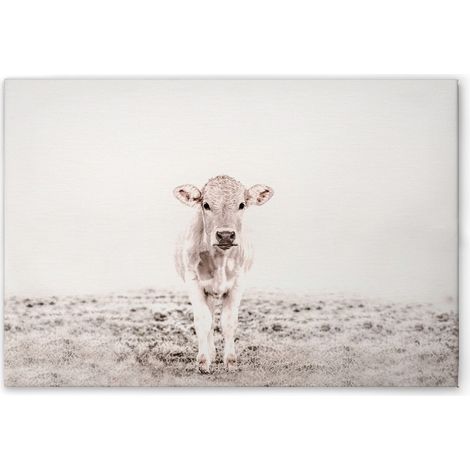 Leinwandbild Tiere Kuh Beige Cerme M1-No.51151 - Kunstdruck auf Leinwand in Weiß Creme - Wandbild 45 x 30 cm (1/5)
