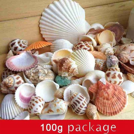 Coquillages Naturels - Mélange de Coquillages de Plage pour Aquarium Décoration Intérieure et Création Manuelle - 1 Sachet de 100 g