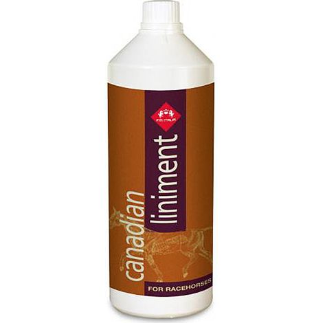 Kanadische Liniment-Massagelotion mit Arnika und Zimt Vorbereitung des Bewegungsapparates 1000 ml