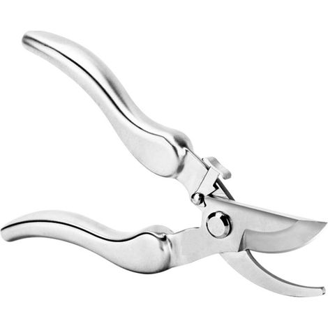 Sécateur à Lame Franche, P541, Pour Branches et Rameaux Frais, Revêtement Antiadhésif, Lames en Acier Inoxydable, Longueur : 20,1 cm, argent (1/5)