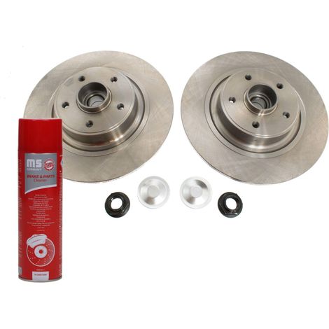 DISCHI FRENO con cuscinetto posteriore 2401110167B-PCS-MS  2 pz (1/3)
