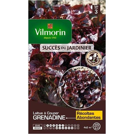 Sachet graines Laitue à couper grenadine