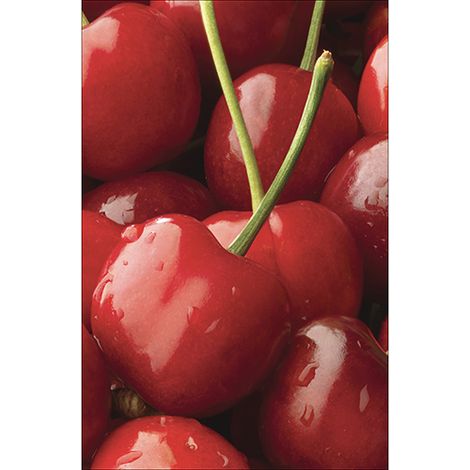 Sticker réfrigérateur et lave vaisselle, cerises douceur fruitée déco, 75 cm X 49 cm