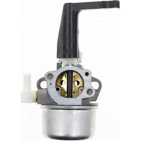 696065 697422 Vergaser für Briggs & Stratton 110402 110412 215369 Motorhacken-Ersatzteile Vergaser
