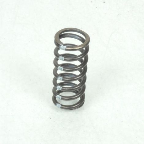Kupplungsfeder für Motorrad Triumph 955 Sprint ST 1998 bis 2004 (1/5)