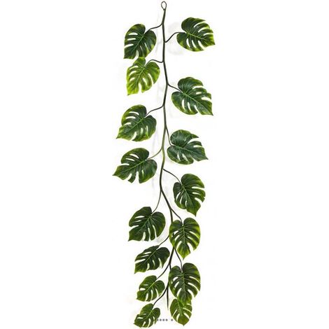 Guirlande de feuilles de philodendron H 230 cm largeur 70 cm