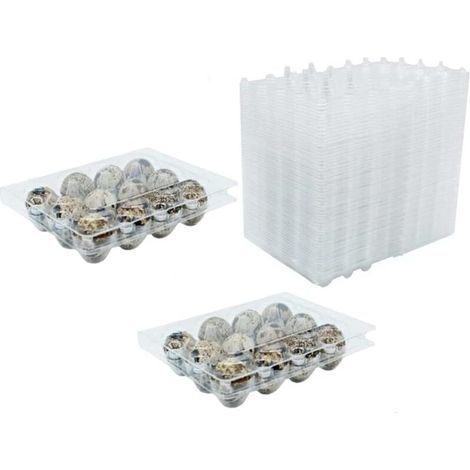 Confezione da 50 scatole riutilizzabili trasparenti in PVC per uova di quaglia – Dimensioni 14x10,5x4 cm – Protezione ottimale con coperchio